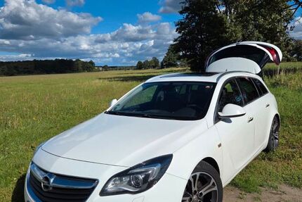 Opel Insignia 309.000 km 5.490 &euro; Brück 14822