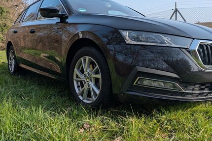 Skoda Octavia 188.000 km 14.900 &euro; Breisach 79206