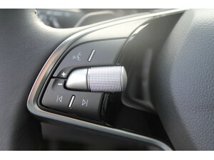 Skoda Fabia TSi DSG Alu AHK Klima Kamera SOFORT !!!!! 10 km 23.395 € Bonn 53225