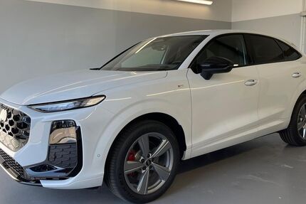 Audi Q3 1.089 km 53.990 &euro; Wangen 88239