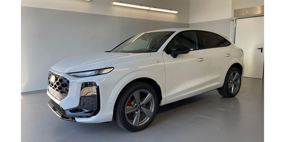 Audi Q3 1.089 km 53.990 &euro; Wangen 88239