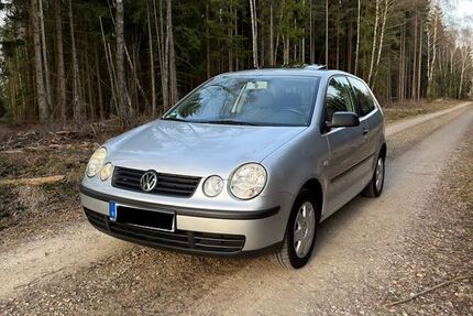 VW Polo 135.000 km 1.380 &euro; Gieselwerder 34399
