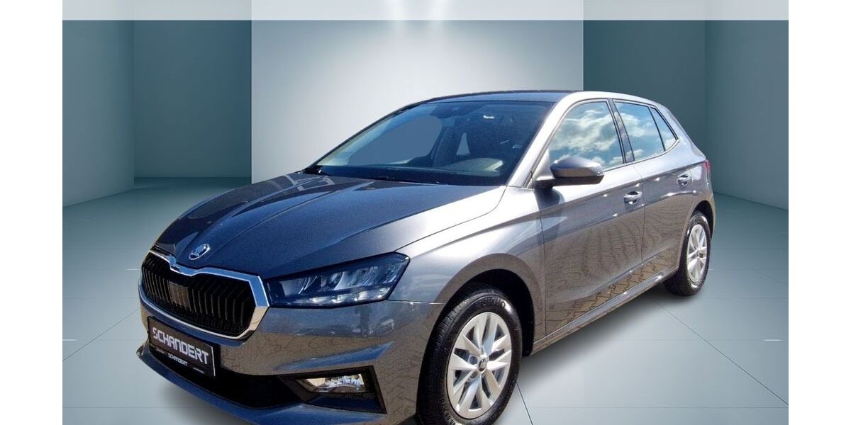 Skoda Fabia 1.500 km 23.440 &euro; Lutherstadt Wittenberg 06886