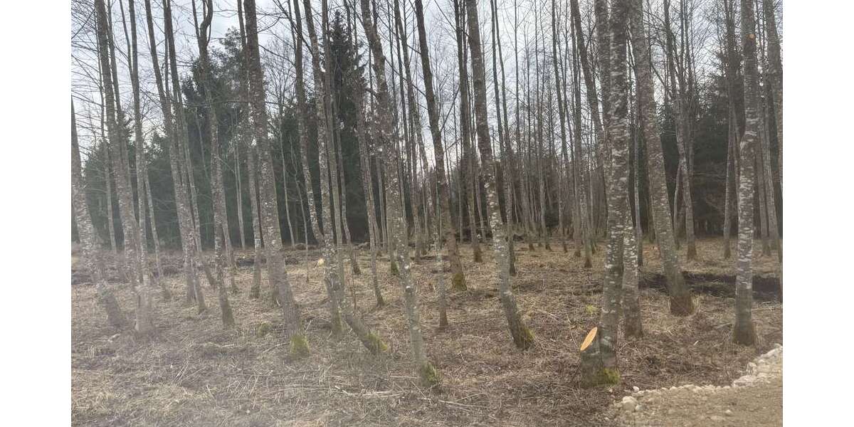 Grundstück in Eggstätt 43.000 € 9600 m² zimmer