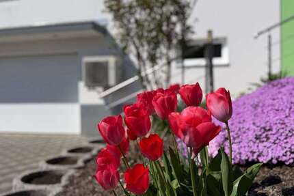 Haus Bad Saulgau - 3.5 Zimmer, 136 m&sup2;, 564.000&euro; | Angebot:26292945