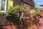 Einfamilienhaus Strausberg - 4 Zimmer, 95 m&sup2;, 299.000&euro; | Angebot:27460845