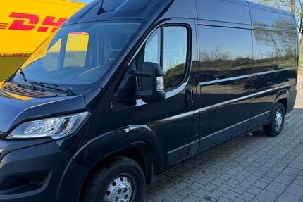 Opel Movano 19.000 km 31.999 &euro; Altomünster 85250