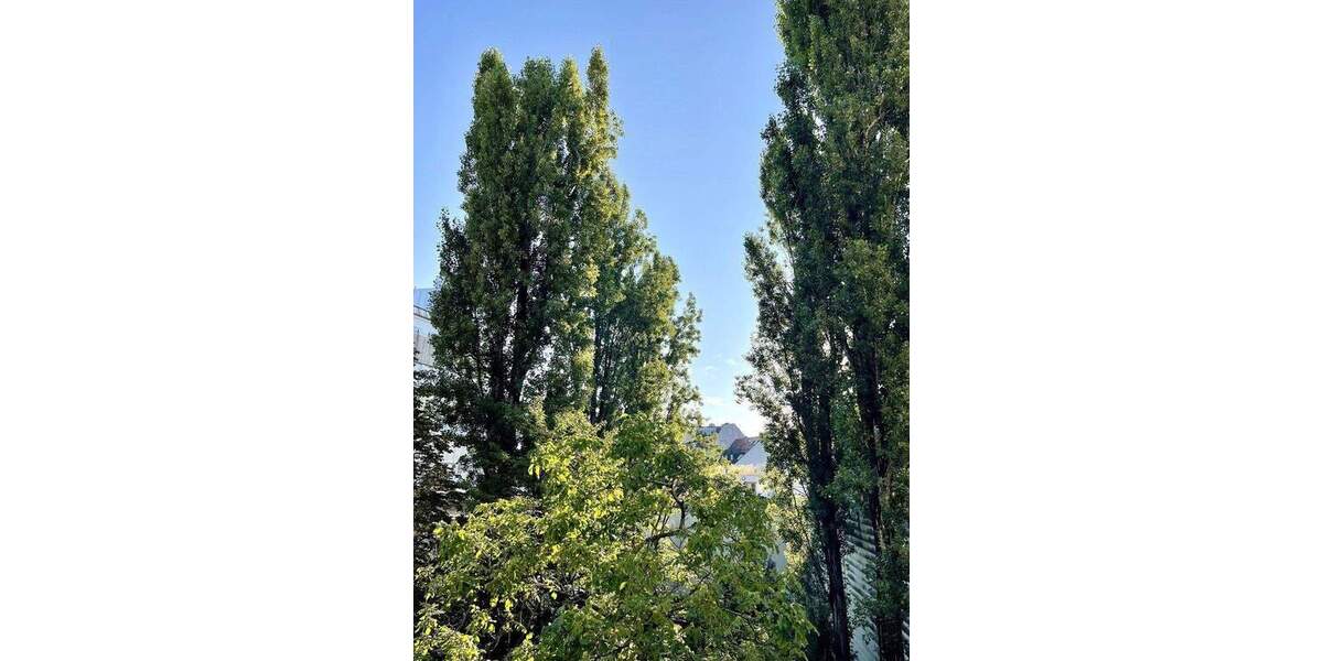 Hochwertige 4 Zi. Lehel am Isartor Bestlage. Exklusiv möbliert oder leer. 2 OG, Garten. Ab 3 Monaten 4 zimmer