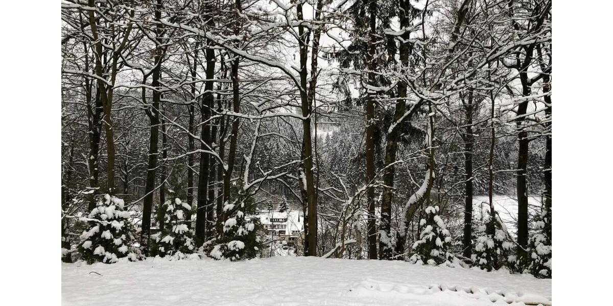 Einfamilienhaus Clausthal-Zellerfeld Zellerfeld - 6 Zimmer, 200 m&sup2;, 550.000&euro; | Angebot:26680655