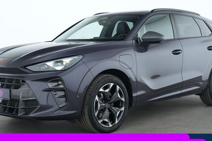 Cupra Terramar 9.925 km 37.955 &euro; Garching bei München 85748