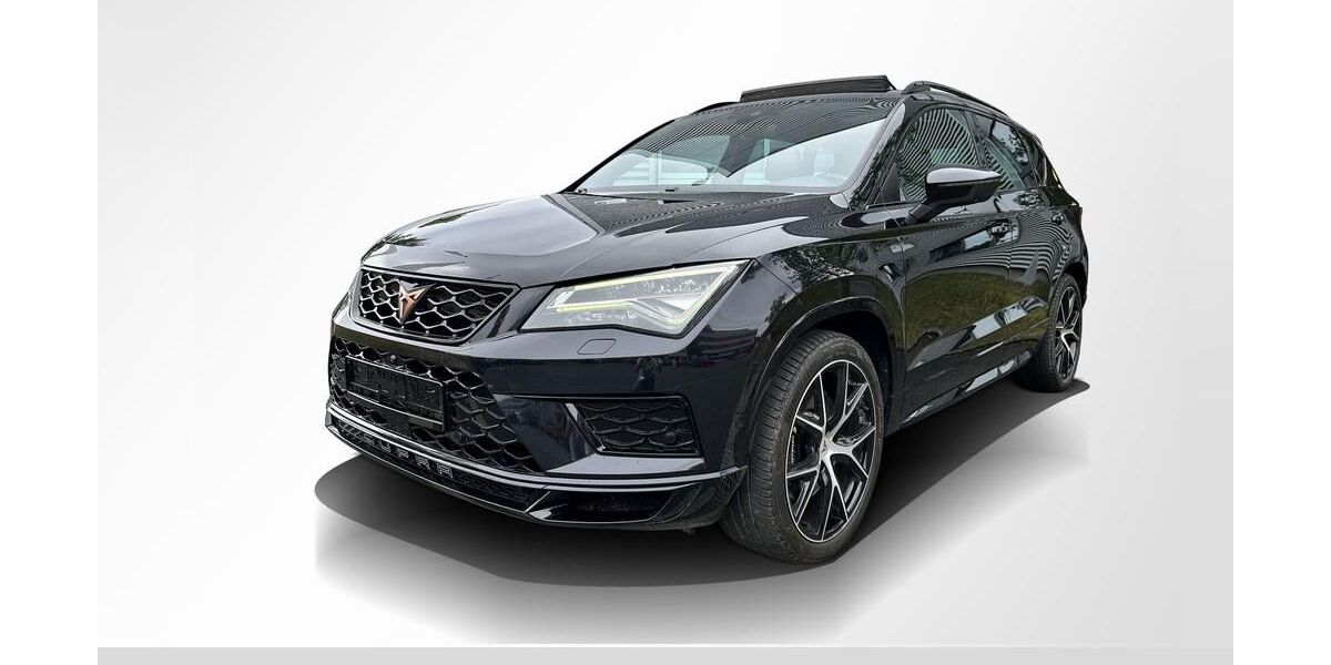 Cupra Ateca 164.795 km 19.000 &euro; Fürth 90763