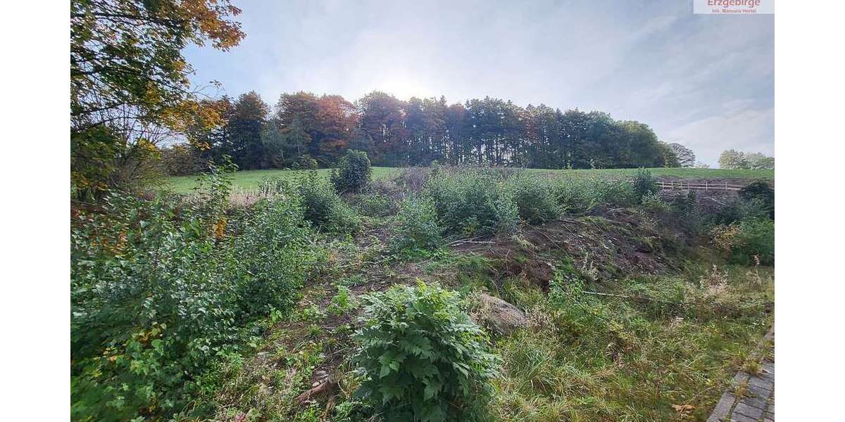 Grundstück zu verkaufen in Bockau 62.500 € 945 m² zimmer