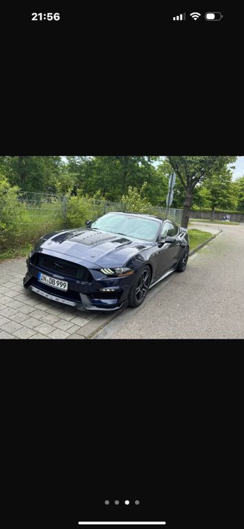Mustang