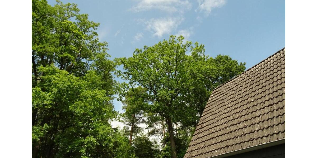 Einfamilienhaus Gifhorn - 6 Zimmer, 145 m&sup2;, 295.000&euro; | Angebot:26888261