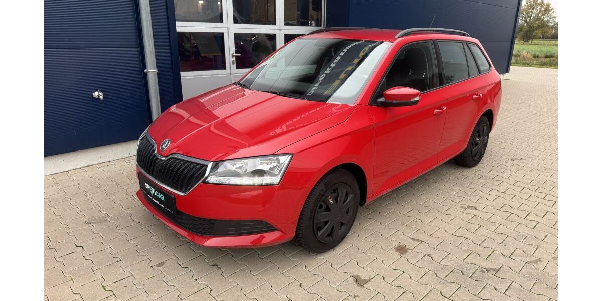 Skoda Fabia 118.271 km 8.890 &euro; Hüde 49448