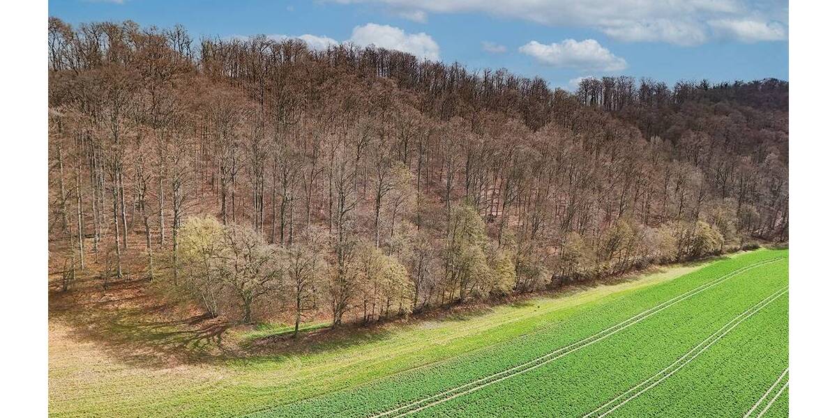 Grundstück Einbeck Orxhausen - 49.000&euro; | Angebot:26246310