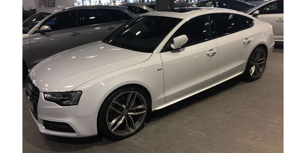 Audi A5 239.000 km 15.000 &euro; Gilten 29690