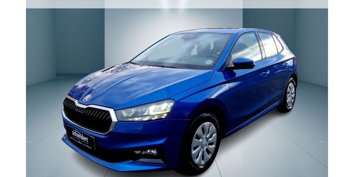 Skoda Fabia 10.933 km 17.440 &euro; Lutherstadt Wittenberg 06886