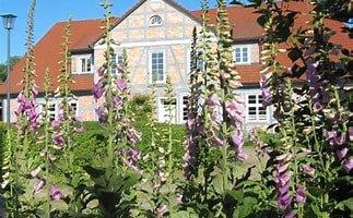 Gewerbeobjekt Marlow - 300&euro; | Angebot:26266754