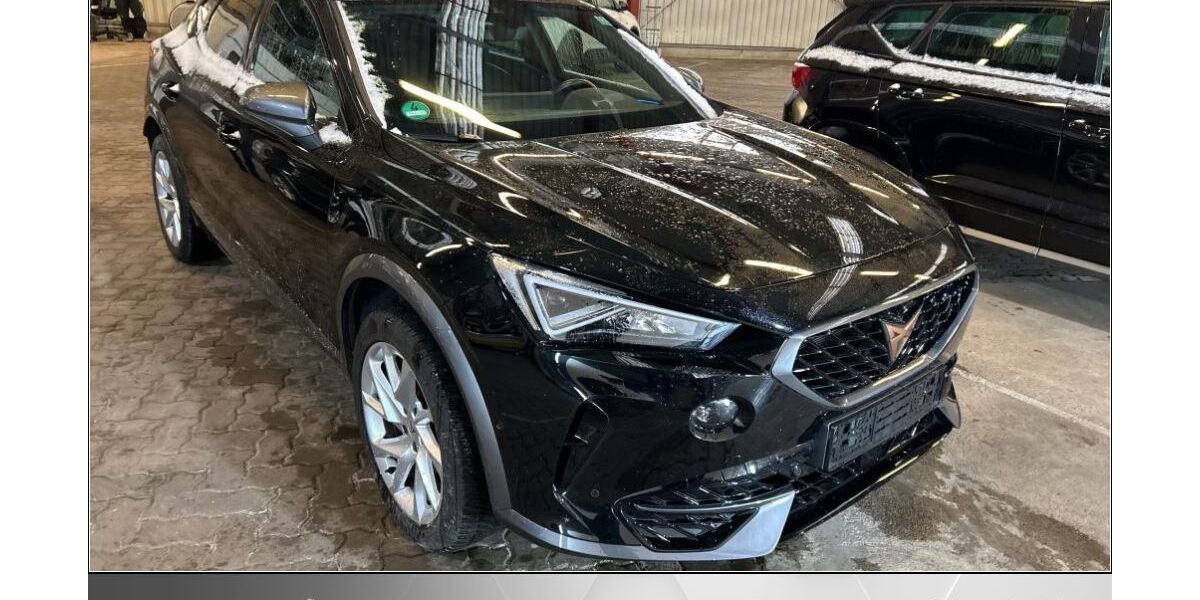Cupra Formentor 29.986 km 26.970 &euro; Helmstedt 38350
