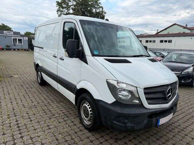 Sprinter