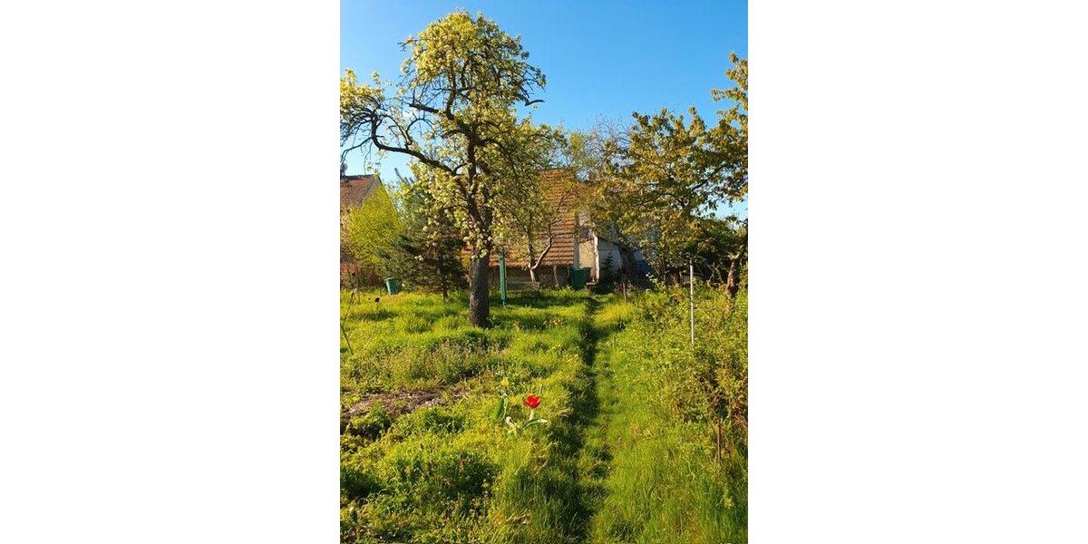 Einfamilienhaus Falkenberg/Elster Elster - 8 Zimmer, 160 m&sup2;, 184.890&euro; | Angebot:26414005