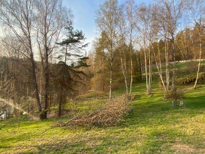 Grundstück Flossenbürg Altenhammer - 54.000&euro; | Angebot:25727289