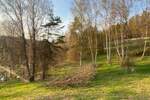 Grundstück Flossenbürg Altenhammer - 54.000&euro; | Angebot:25727289