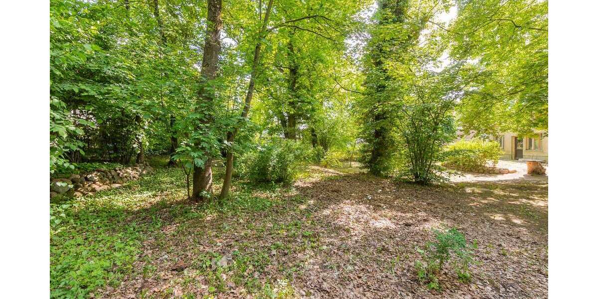 Grundstück zu verkaufen in Rehfelde 199.500 € 924 m² zimmer