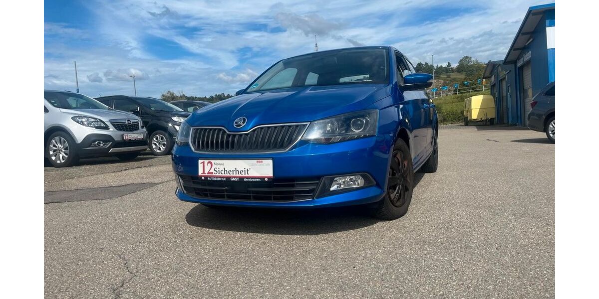 Skoda Fabia 118.000 km 8.400 &euro; Blaustein 89134