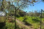 Bungalow Coswig (Anhalt) Serno - 4 Zimmer, 120 m&sup2;, 1.000&euro; | Angebot:26491893