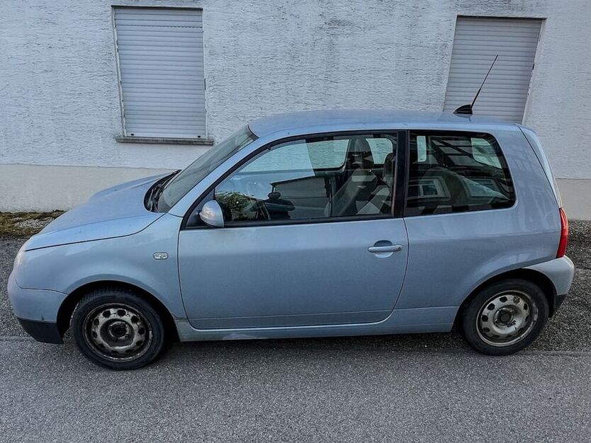 Lupo