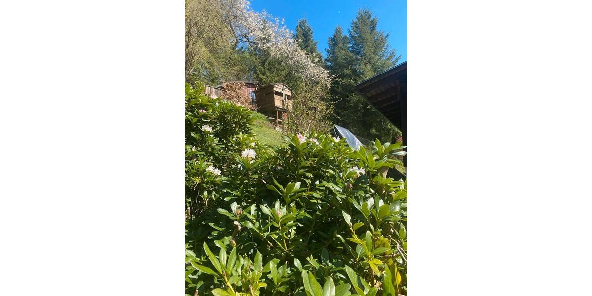 Einfamilienhaus Steinbach-Hallenberg Hallenberg - 3 Zimmer, 70 m&sup2;, 75.000&euro; | Angebot:26314391