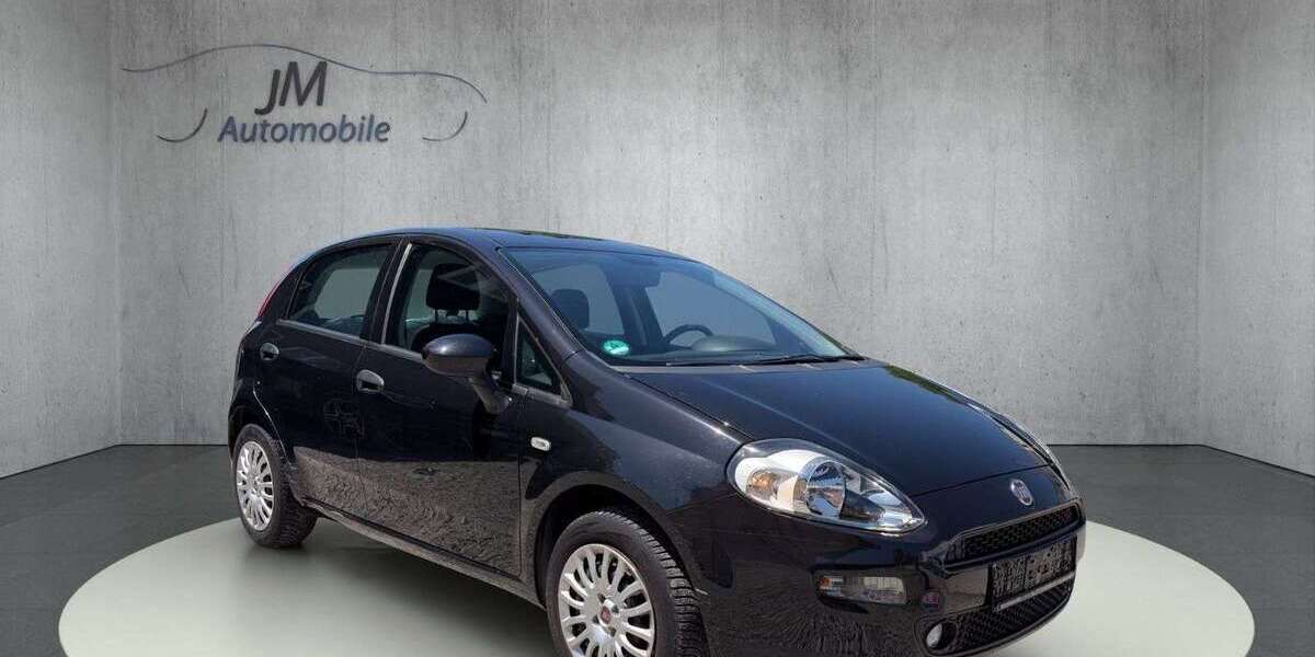 Fiat Punto 52.000 km 5.990 &euro; Meckenbeuren 88074