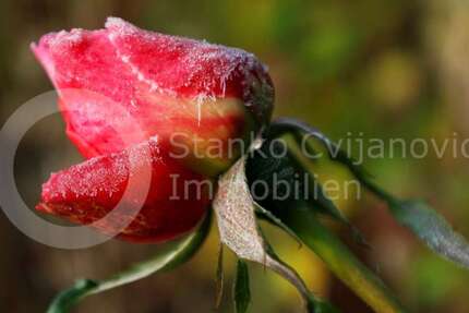 Haus zum Kaufen in Dachau 819.950 € 229 m² 8 zimmer