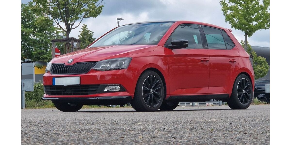Skoda Fabia 135.250 km 11.600 &euro; Mannheim 68259