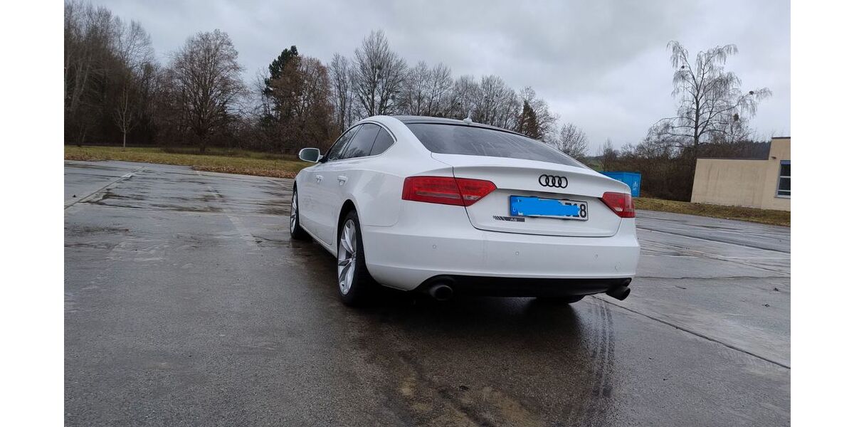 Audi A5 275.000 km 5.700 &euro; Weingarten 88250