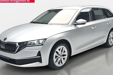 Skoda Octavia 11.100 km 30.990 &euro; Brandenburg 14772