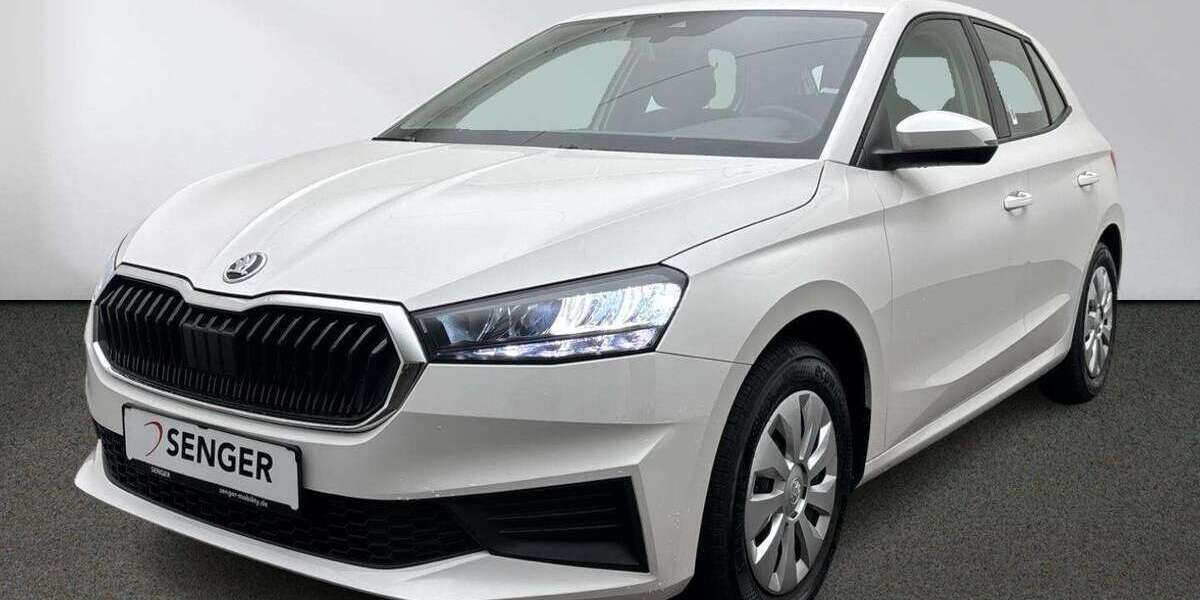 Skoda Fabia 17.990 km 13.980 &euro; Emsdetten 48282