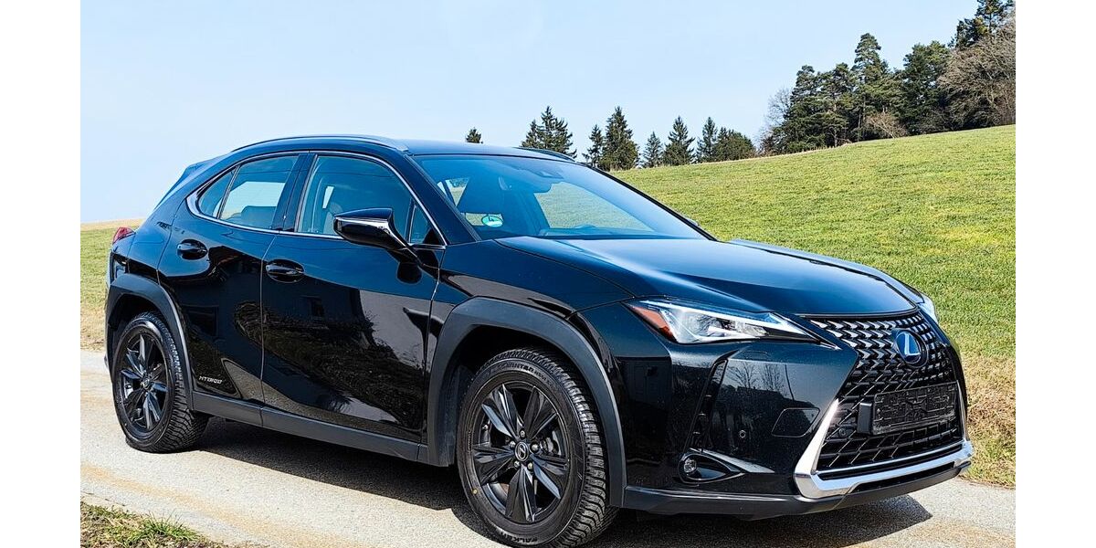 Lexus UX 60.500 km 22.400 &euro; Witzmannsberg 94104
