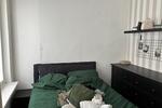 Etagenwohnung Springe - 2 Zimmer, 45 m&sup2;, 300&euro; | Angebot:24890442
