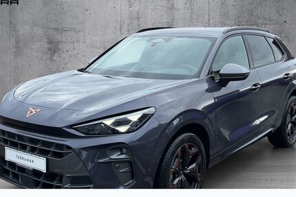 Cupra Terramar 5.450 km 41.950 &euro; Weißenburg in Bayern 91781