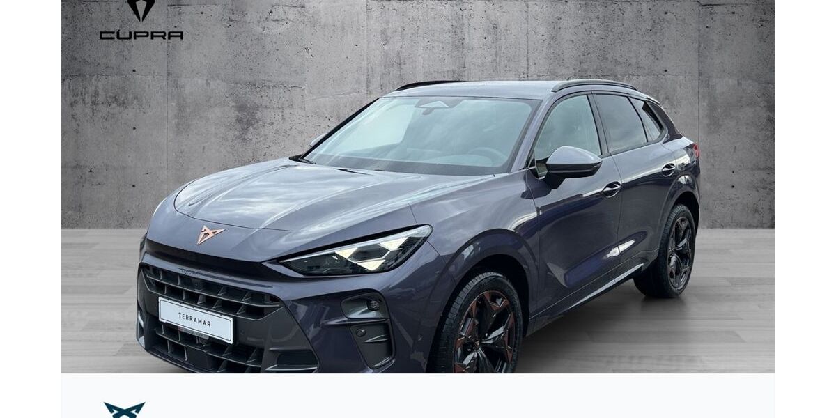 Cupra Terramar 5.450 km 41.950 &euro; Weißenburg in Bayern 91781