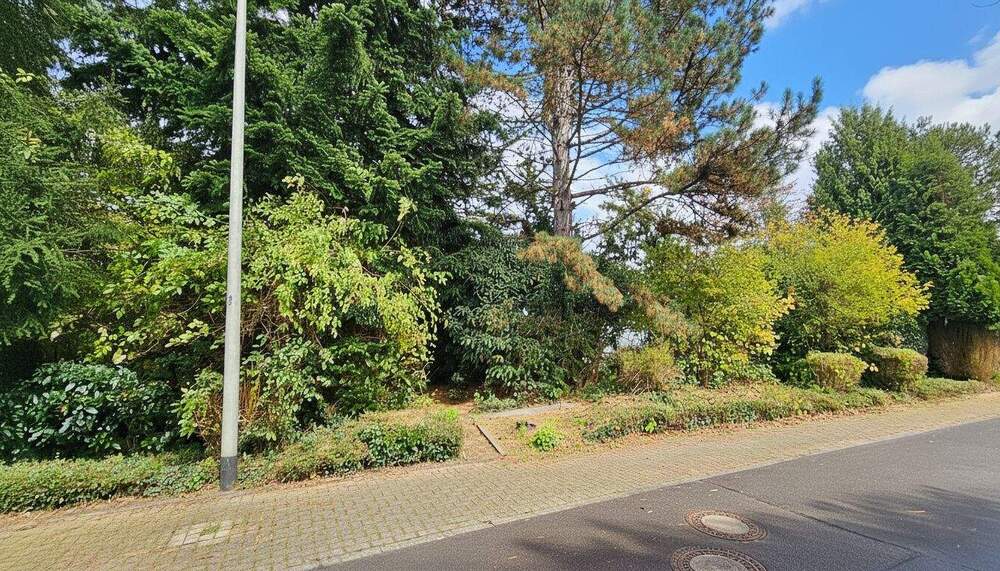 Großes Grundstück in ruhiger Wohngegend von Löhne zimmer