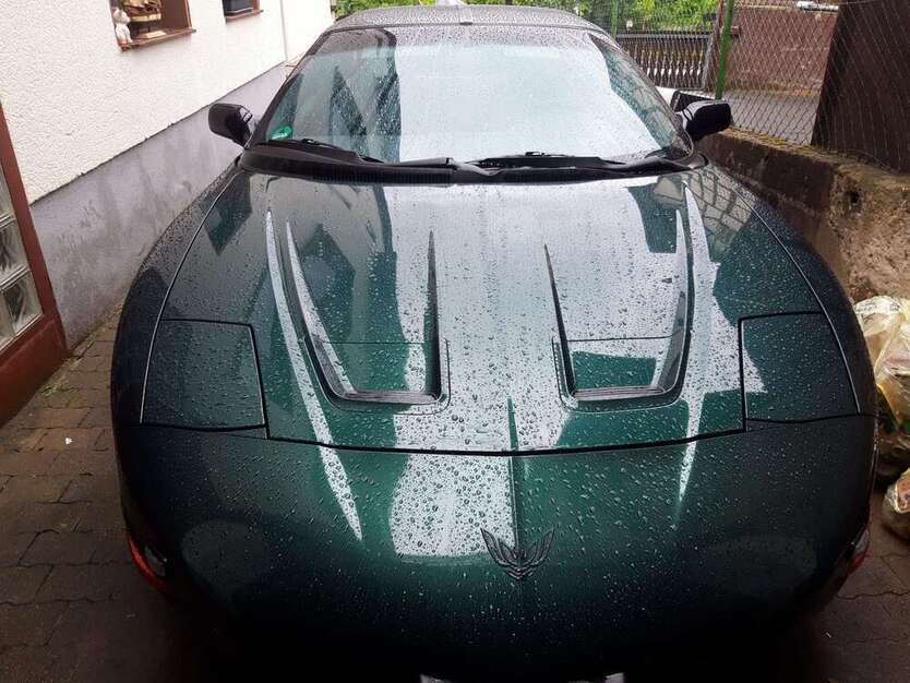 Firebird