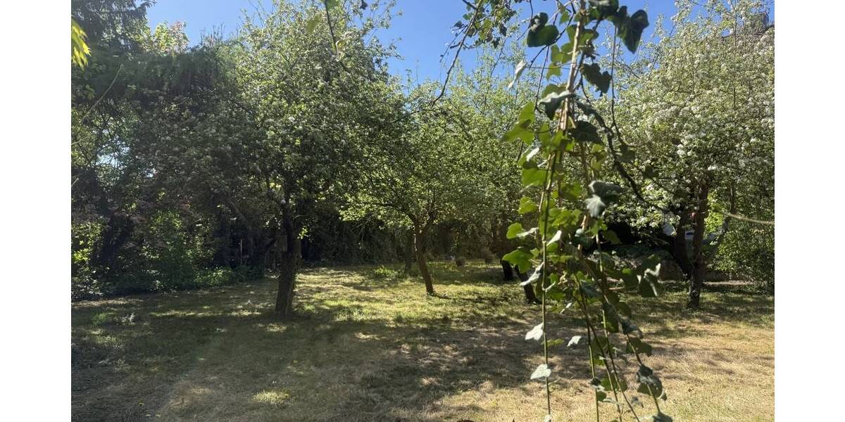 Grundstück Braunschweig / Mascherode Mascherode - 398.000&euro; | Angebot:26879263