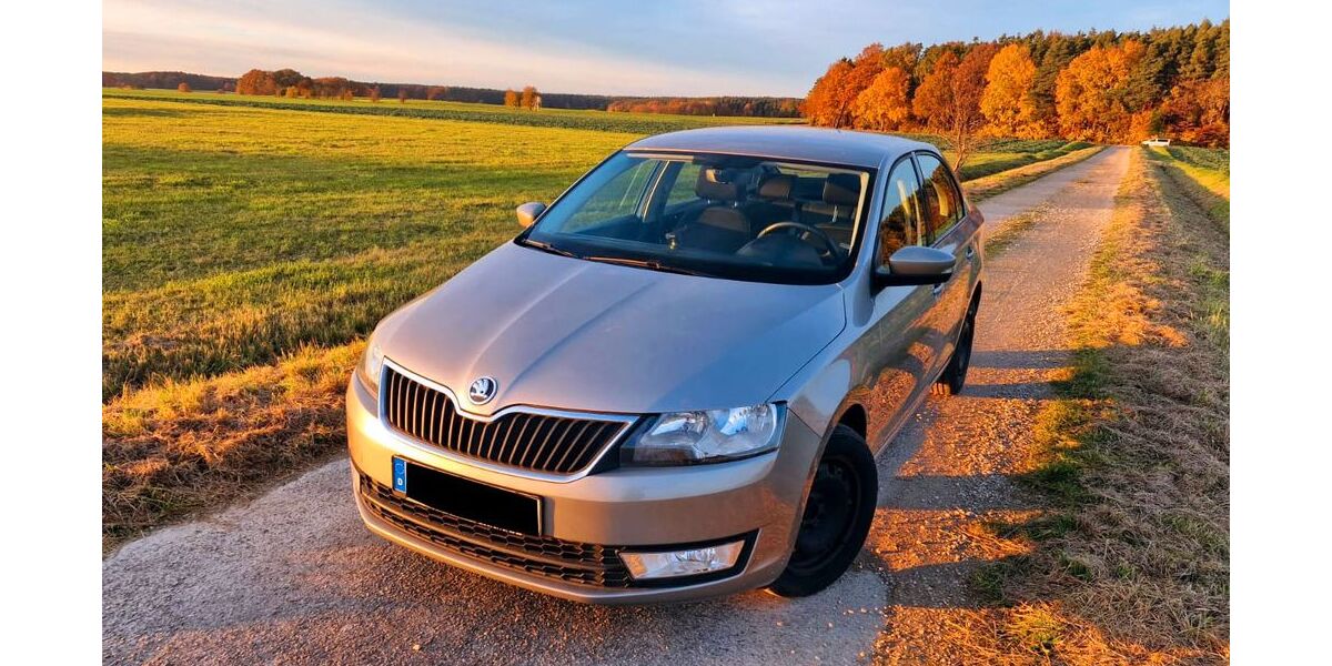 Skoda Rapid 69.800 km 9.186 &euro; Gutenstetten 91468