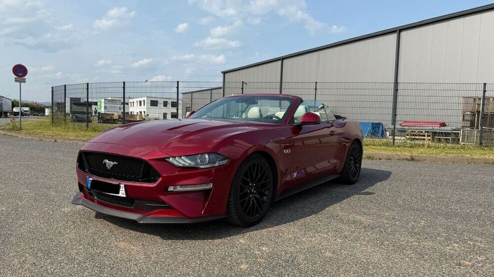 Mustang
