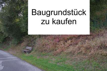 Grundstück zu verkaufen in Schönecken 17.500 € 801 m² - Grundstück Schönecken | Angebot:25611773