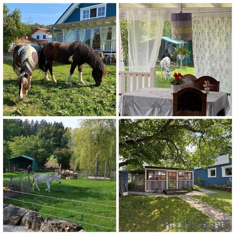 Idyllisches Landhaus, großes Grundstück Platz für Familie & Tier